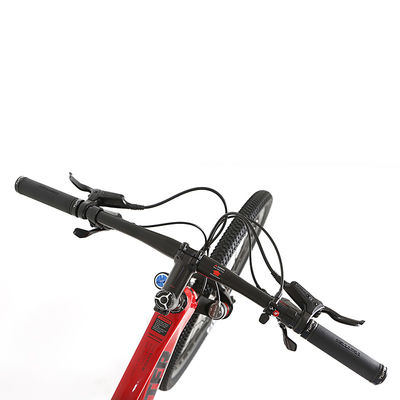 PREDATOR Pro 29er Carbon Fiber Mountain Bike 13 Speed Mtb