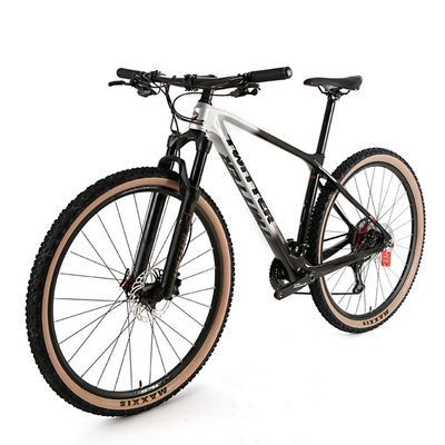 29 Inch Carbon Fiber MTB Bike Bicycle SHIMANO XT 24S Hydraulic Brake